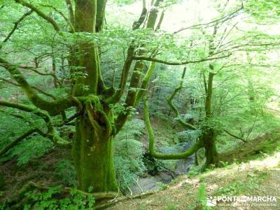 Valle del Baztán - Elizondo - Zugarramurdi; viajes en otoño; senderos viajes y turismo